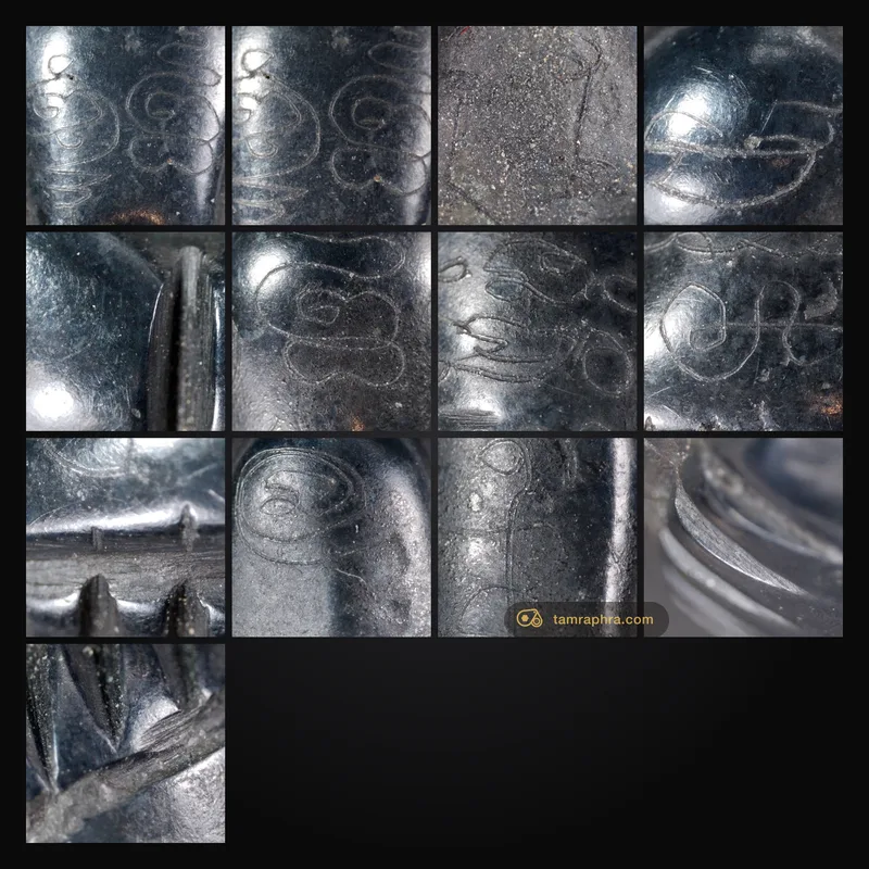 หลวงปู่นาค – ภาพขยายรวม